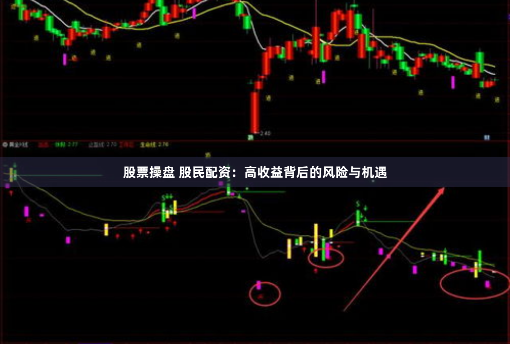 股票操盘 股民配资：高收益背后的风险与机遇