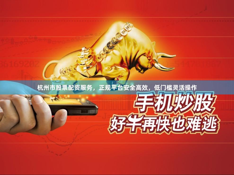杭州市股票配资服务，正规平台安全高效，低门槛灵活操作